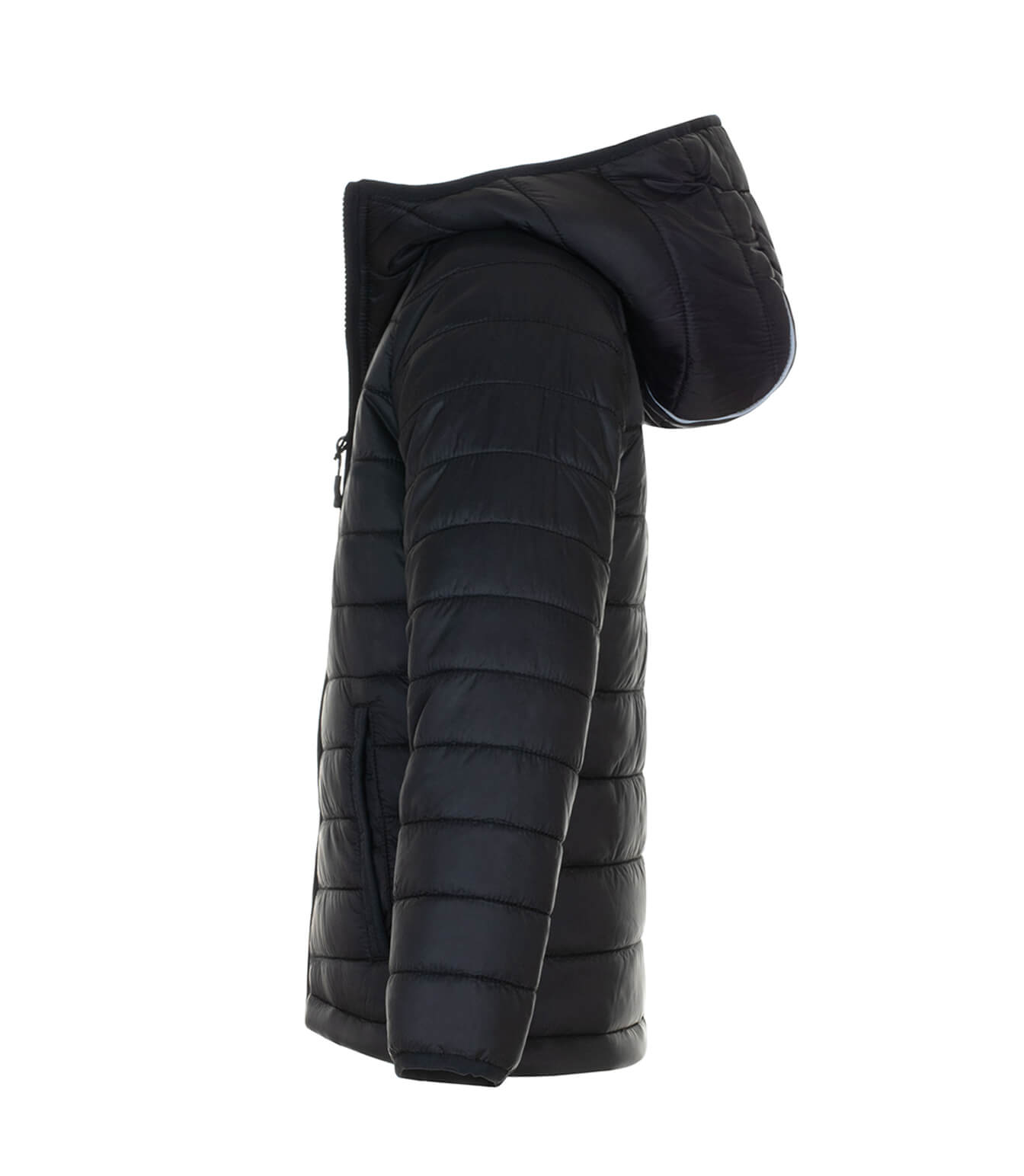 Manteau matelassé Taylor
