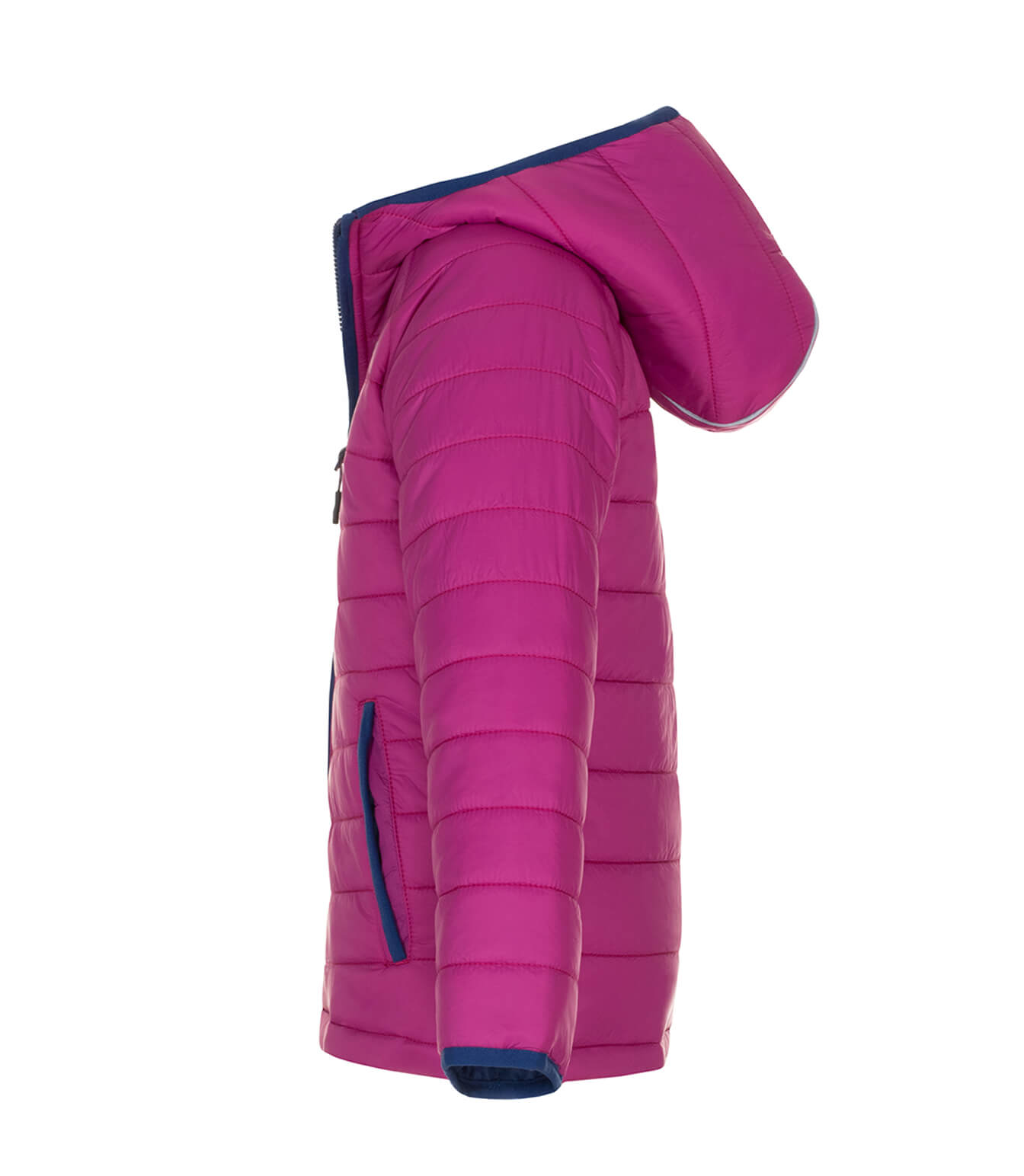 Manteau matelassé Taylor