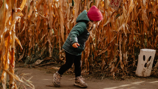 The Best Outdoor Activities to Enjoy Fall with Your Children