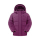 JEMMA_GW6GJ520_WILD_ASTER_FRONT