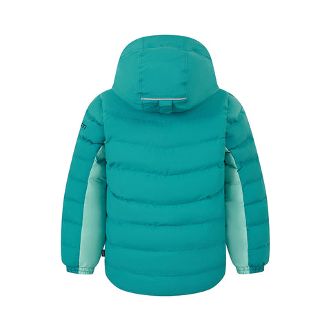 JEWEL_GW6GJ213_TEAL_AQUACADE_BACK