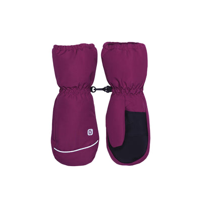 Liam Winter Mittens - Wild Aster